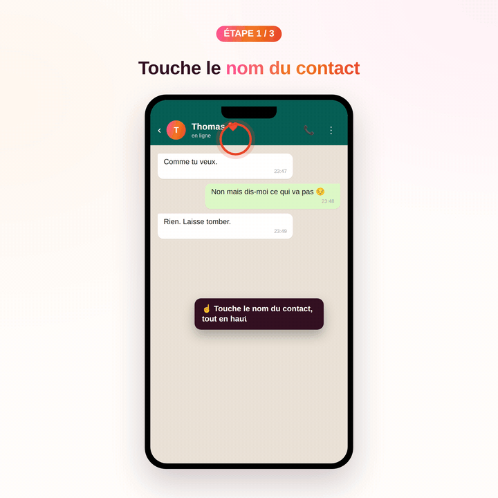 Démonstration iPhone : toucher le nom du contact, « Exporter la discussion », « Sans fichiers médias »